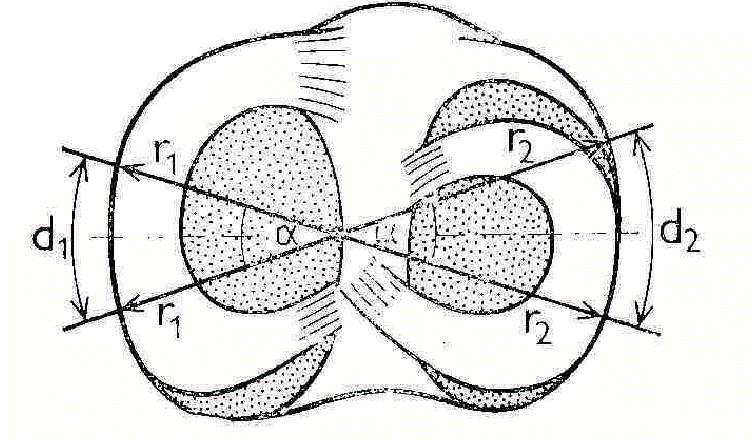Obr. 2-10 Kinematika rotačního pohybu. Vlivem asymetricky umístěného středu otáčení se různí poloměr rotace pro mediální (r1) a laterální (r2) kondyl tibie.