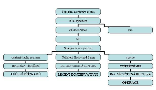 4.3.5. Zánět šlachové pochvy Častějším zraněním u sportovních lezců je zánět šlachové pochvy (tendovaginitida), který svým otokem znemoţňuje pohyb prstu.