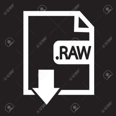 RAW Neupravená survá data Není standardizvaný (třída)