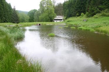 nádrže (rybníky) přispívají k diversifikaci krajinného prostoru, zajišťují přírodě