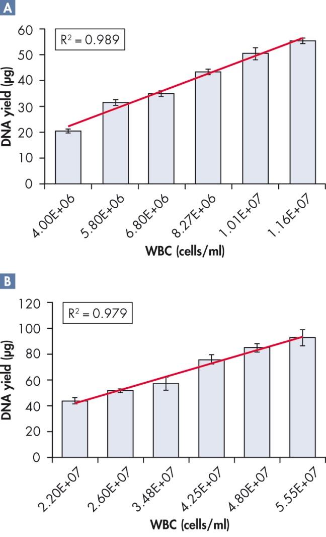 DNA yield (µg) WBC (cells/ml) DNA yield (µg) WBC (cells/ml) Obr.5 - Lineární řada DNA izolované z krve a buffy coat.