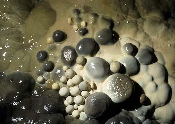 Sedimentární jeskynní perly (pisoidy, pisolity) vznikají soustředěným