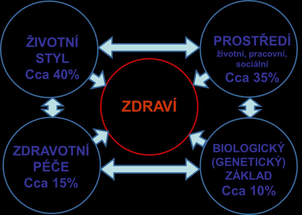 Determinanty zdraví Zdroj: ppt