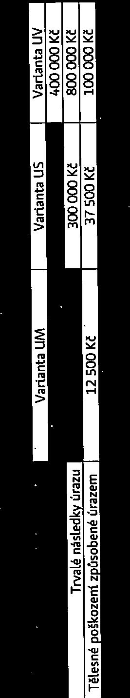 s následujícími pojistnými částkami pro 1 sedadlo: Varianta UM.