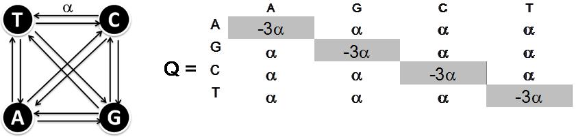 parametr, který se volí v rozsahu <0,65; 3> v závislosti na odhadované rychlosti evoluce mezi zkoumanými organismy. d (.) ln( p) a p p d (.