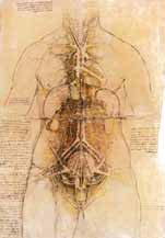 1 Žilní vstupy střednědobé a dlouhodobé Obr. 1.2 Nákres s názvem Kardiovaskulární systém a hlavní orgány ženy od Leonarda da Vinci [4] Obr. 1.3 Dr.