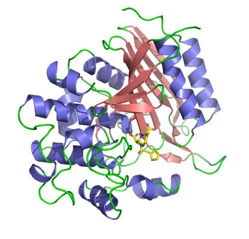 Inhibitory