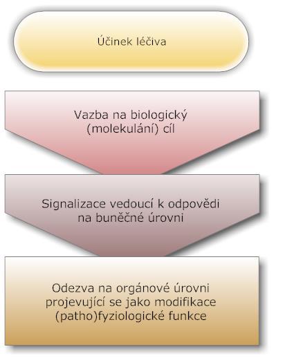 Léky nevytvářejí novou funkci, ale většinou zvyšují