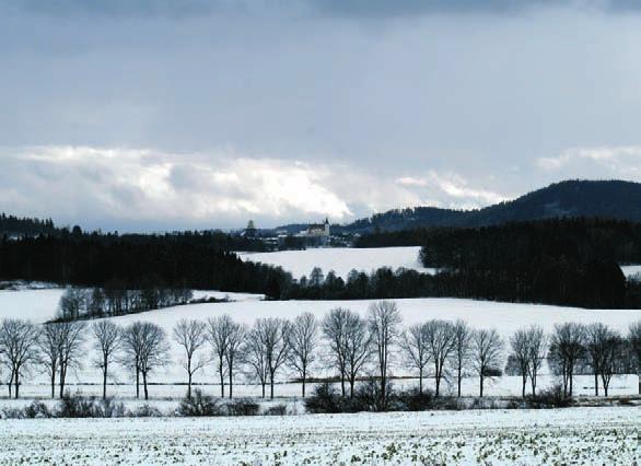 POŘAD BOHOSLUŽEB VÁNOČNÍ SVÁTKY Neděle 23.12. Pondělí 24.12 Úterý 25.12. Středa 26.12. Neděle 30.12. Pondělí 31.12. Úterý 1.1. Velešín 8.00 Soběnov 9.45 4. neděle adventní Besednice 11.00 Soběnov 15.