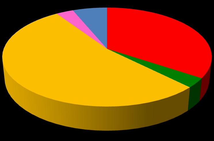 3% 6% 35% Denně - 11 osob Třikrát týdně - 1 osoba 53% Jednou týdně - 17 osob Dvakrát měsíčně - 1 osoba Různě dle potřeby - 2 osoby 3% Graf č.