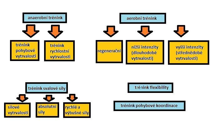 Obr. 2: Skladba kondičního tréninku ve sportovní přípravě hráčů fotbalu (Psotta, 2006) 2.3.