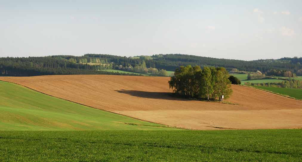 V současné době Správa úložišť připravuje projekt