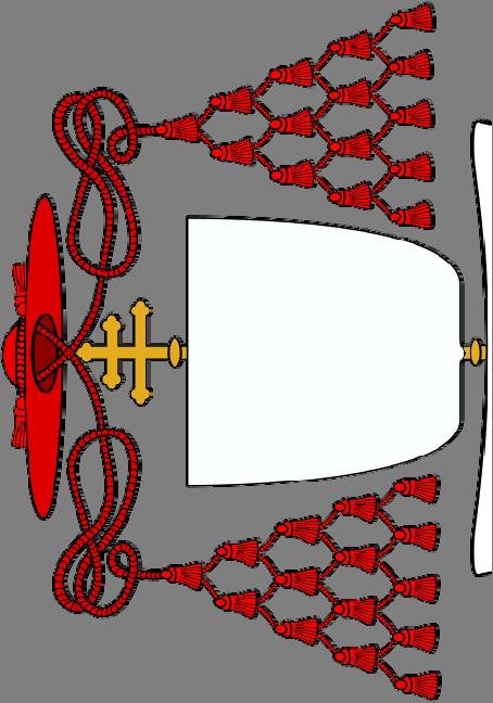 Kardinál kardinál a biskupové