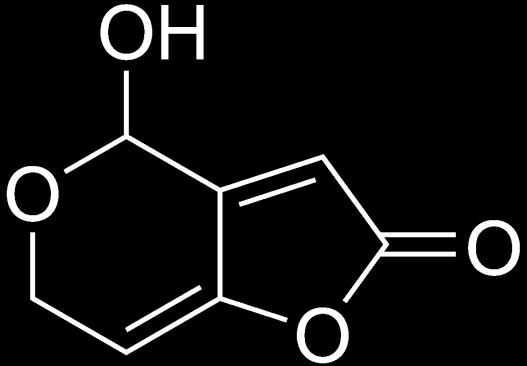 Patulin a jeho producenti Penicillium expansum