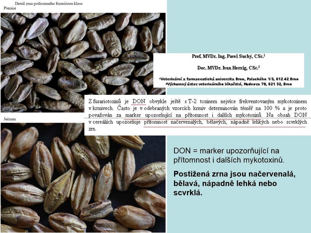 Informace obsažené v základní mykologické přednášce