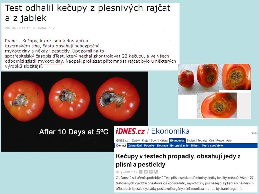 Rajčata častý zdroj alternariových