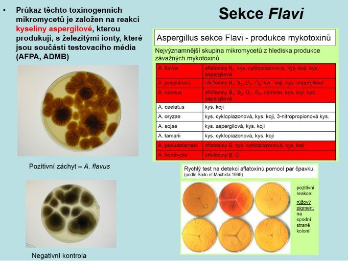 obsažené v