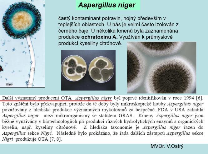 (ale i v rozsahu