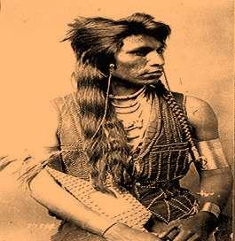 domorodých indiánů jejichž kmen se dělí do čtyř velkých kulturních /jazykových skupin: - Východní Šošonové, Wyoming - Severní
