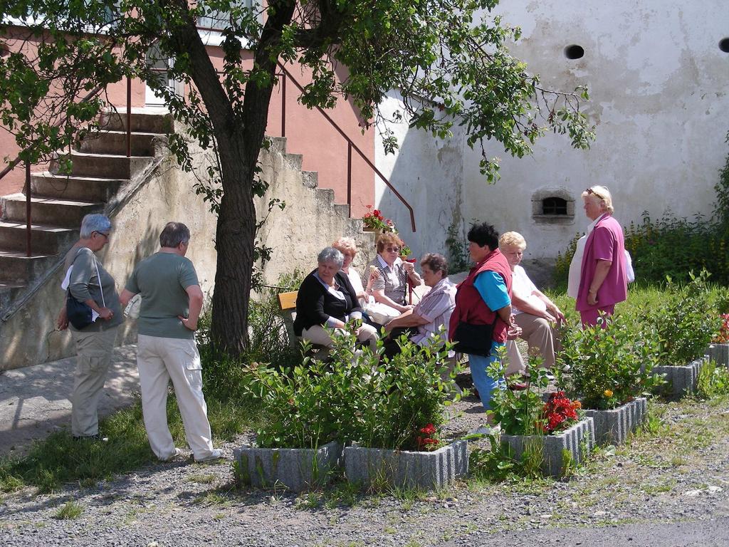 V průběhu roku 2010 se uskutečnily tři výlety: do Motýlího domu v Žírovicích, přírodní rezervace SOOS a zámku Mostu, do Prahy, kde se uskutečnila plavba lodí po řece Vltavě a také návštěva Zahrady