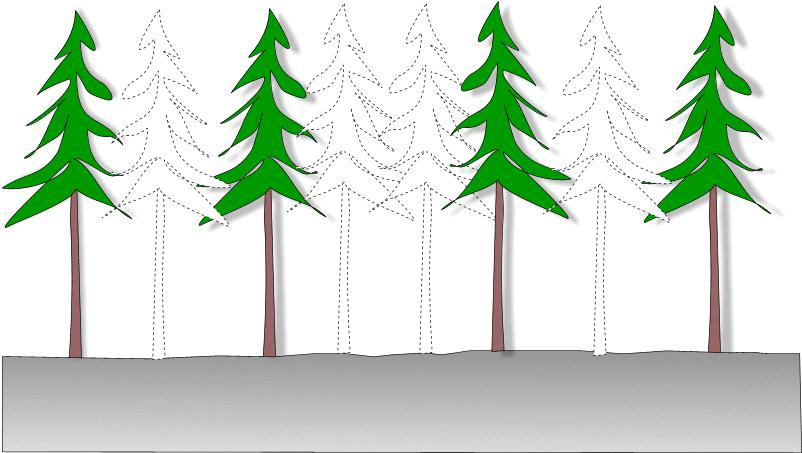 Struktura lesních porostů prostorová