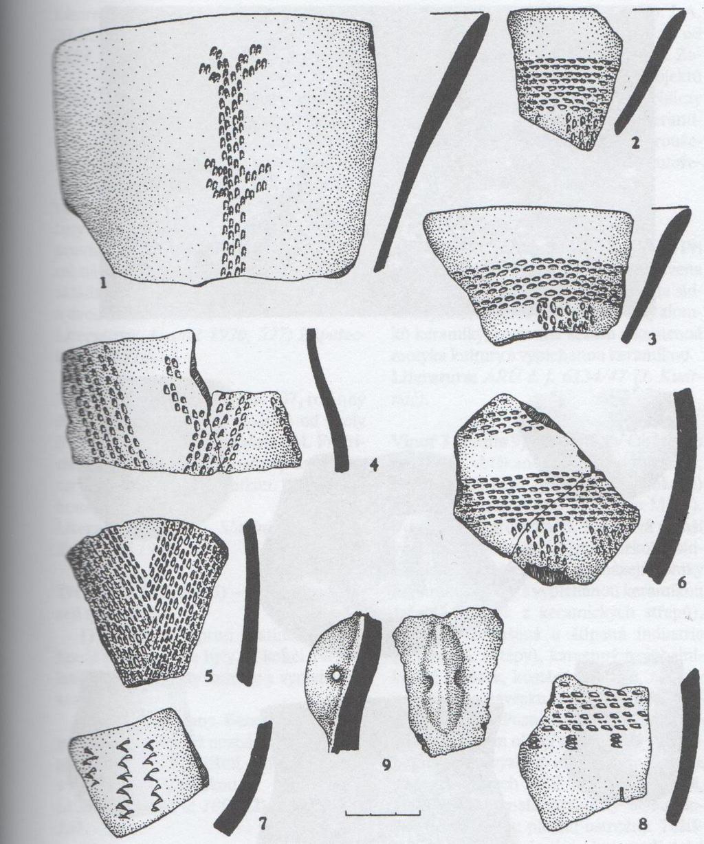 57 Obrazová příloha 8: Nálezy mladší vypíchané keramiky z Ruzyně ppč. 589. (Richterová, J.
