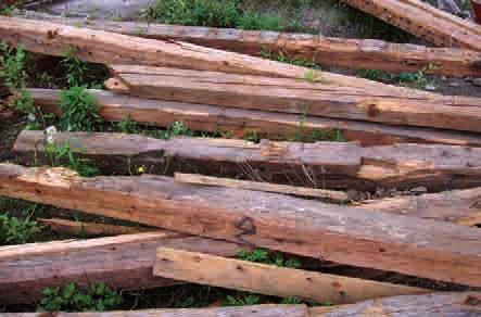 Obr. 15. Hrádek nad Nisou (okres Liberec), dům č. p. 65, 66, tzv. Azyl. Skládka prvků krovu po demolici objektu, stav v květnu 2006.