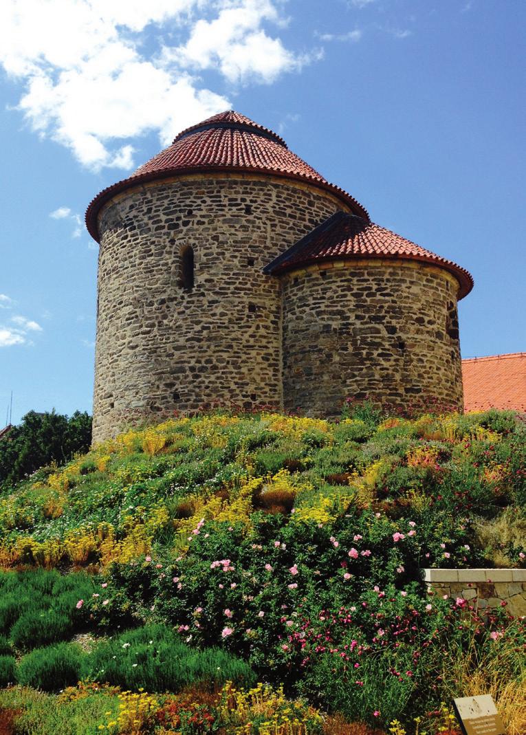 Znojmo 14 Rozloha MPR _ 50,1 ha Počet památek _ 215 (z toho 167 v MPR) Rotunda sv. Kateřiny byla postavena na konci 11. století jako velkofarní kostel v centru předhradí znojemského hradu.