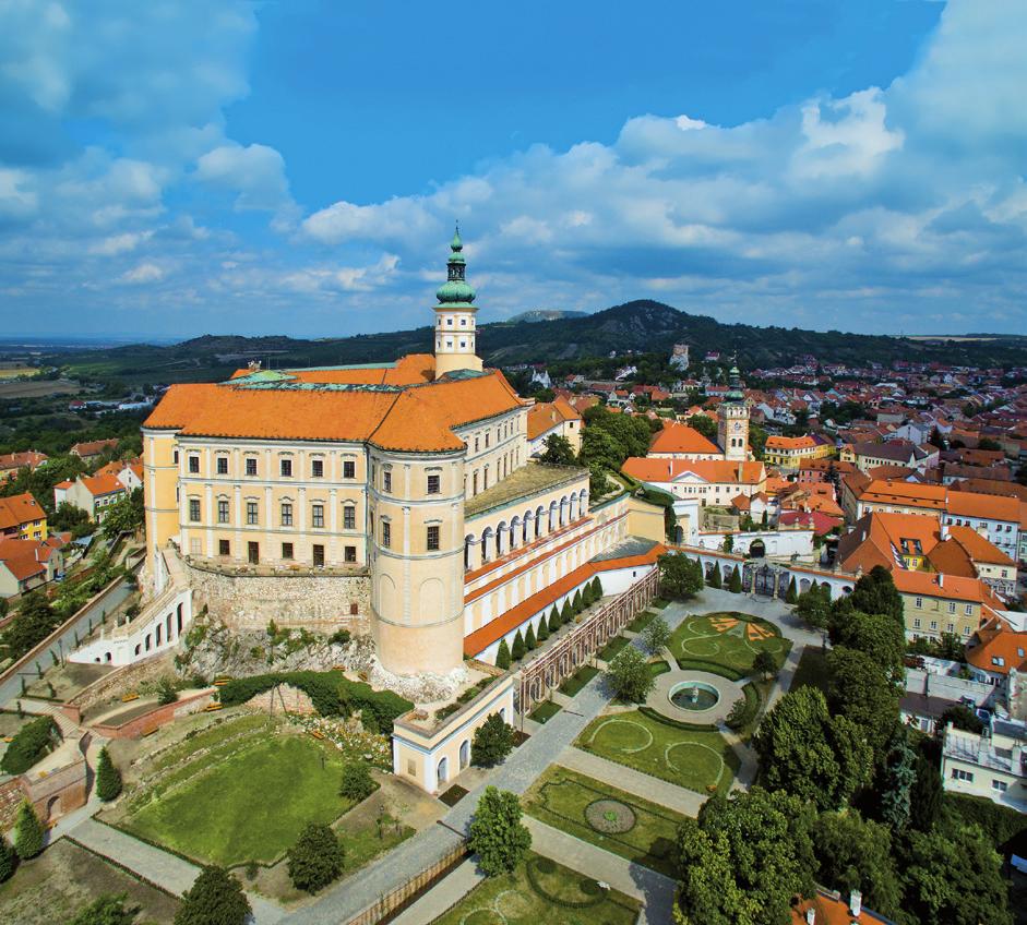 Mikulov 7 Rozloha MPR _ 19,95 ha Počet památek _ 181 (z toho 145 v MPR) Původně zeměpanský hrad byl Přemyslem Otakarem II. v roce 1249 udělen v léno Liechtensteinům. Ty na konci 16.