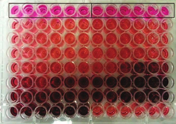 MTS MTS assay is often described as a,,onestep MTT assay In the