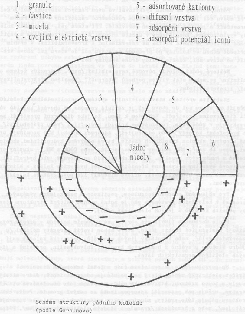 Sorpční půdní komplex schéma stavby koloidní mycely Nepohyblivá