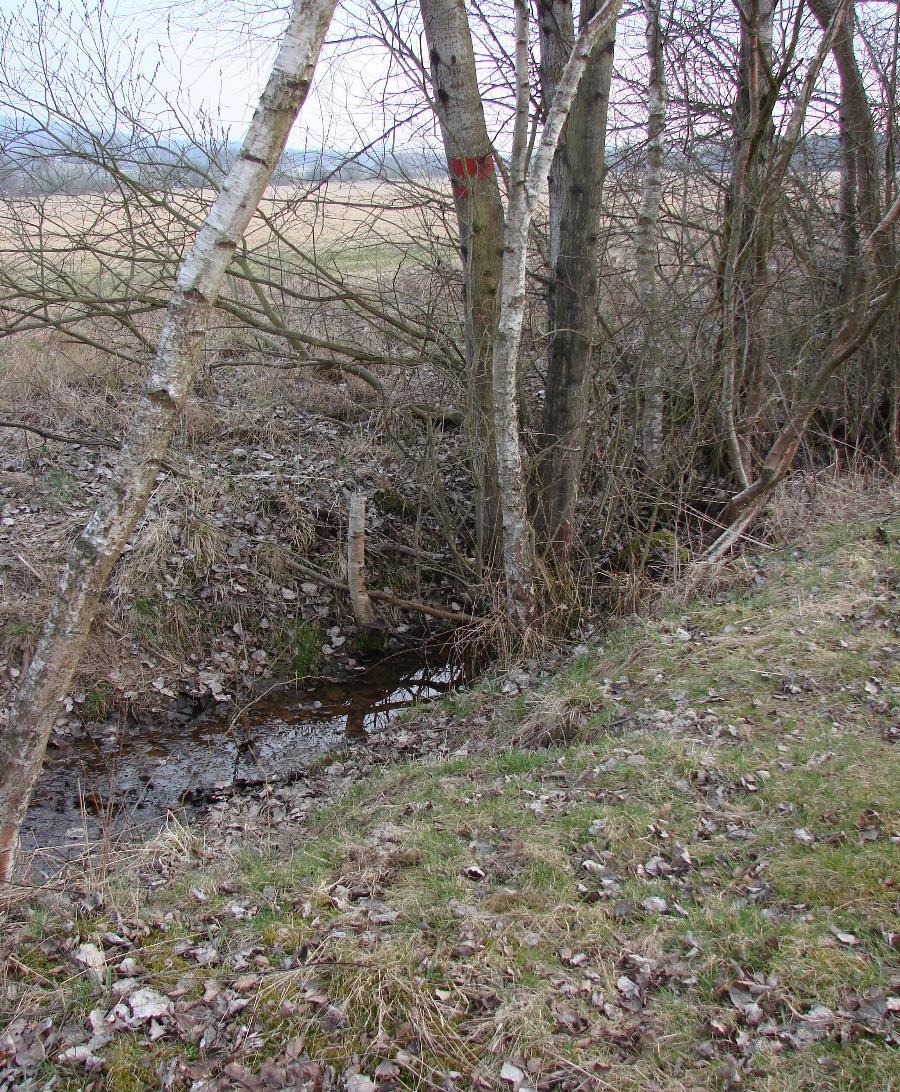 10. PŘÍLOHY PŘÍLOHA 1: Foto melioračního příkopu. Obr.