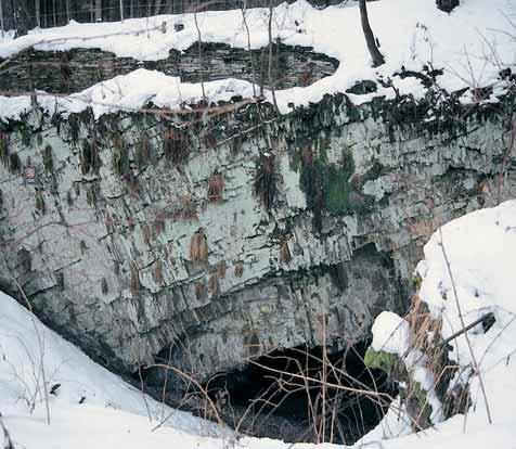 Nachází se v rozsáhlém lesním komplexu s pfieváïnû zmûnûnou porostní skladbou (smrkové monokultury).