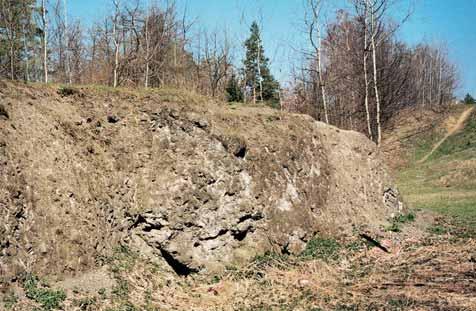 Ostravsko GEOLOGIE Kamenná hora je nevysok vrch na pravém údolním svahu Hvozdnice, budovan kulmsk mi horninami (pfieváïnû drobami) moravického souvrství, jehoï jádrem proráïí tûleso neovulkanitû.