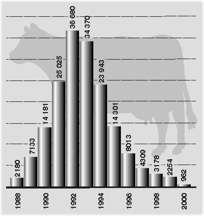 Obrázek č. 8: Počet potvrzených případů BSE u dobytka ve Velké Británii (převzato z www.vesmir.
