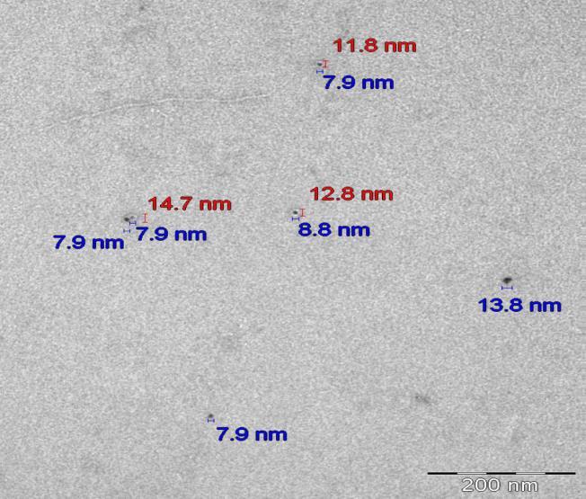Transmisní elektronová microskopie (TEM) nanočástice v moči dělníků TiO 2 4 osoby nález před + zvýšení po