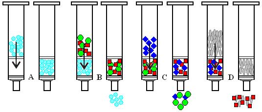 Identifikace biomolekul