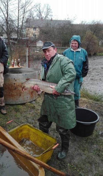 19. 11. 2016 Spolek Přátel vepřů provedl výlov rybníka zvaného Dolina. Tato událost se setkala s velkým zájmem a to hlavně těch, kteří se zajímají o rybářství.