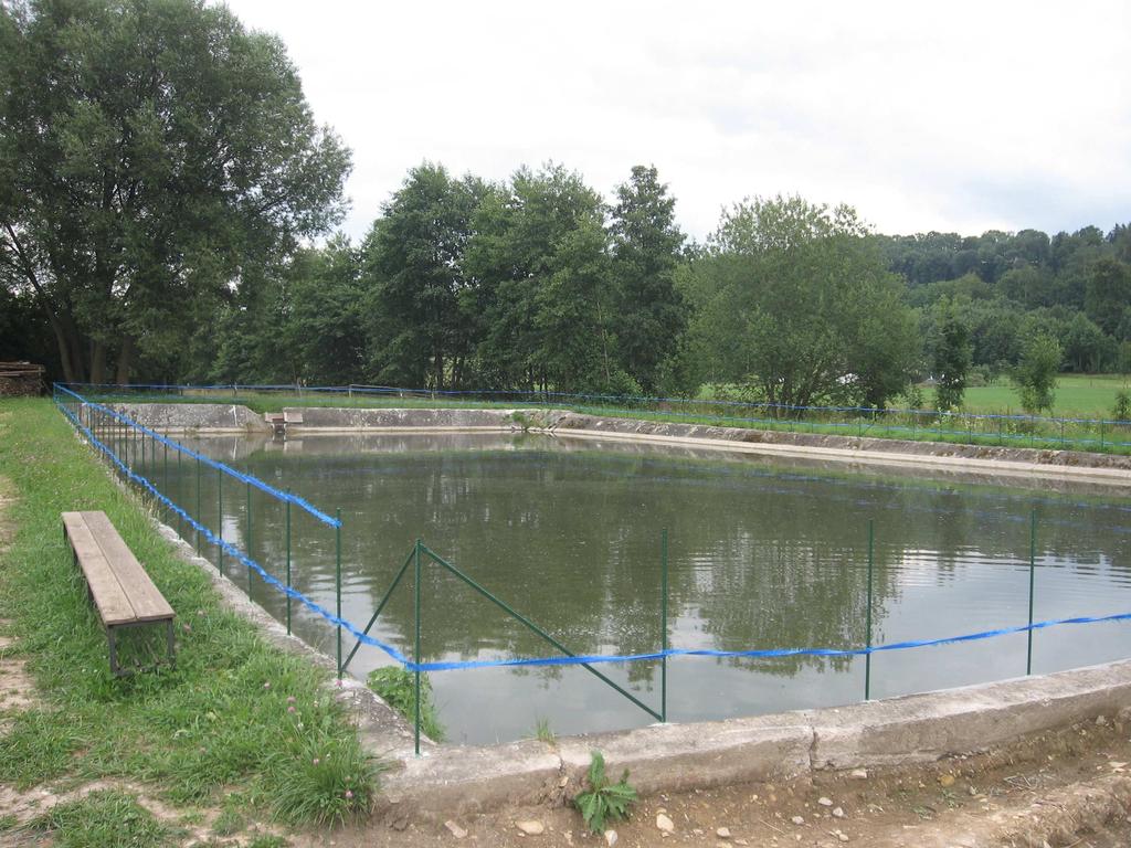 Dříve se nacházel rybník za pilou - Mlýnský rybník. Tento rybník byl zasypán v roce 1978.