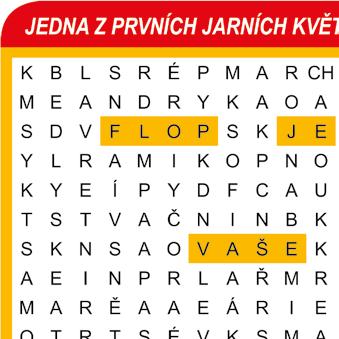 Hořepník, Hrdějovice, Hrotovice, Hrušovany nad Jevišovkou, Chýnov, Jamný, Jemnice, Jihlava, Jindřichův Hradec, Kamenice nad Lipou, Kamenice u Jihlavy, Kněžice, Krásná Hora