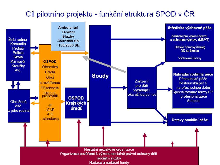 Zdroj: MPSV, Činnost orgánů sociálně právní ochrany, Standardy. Benešov: 2010 Mezi důleţité cíle transformace patří rozšíření systému pěstounské péče.