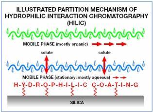 Retence analytu je způsobena jeho rozdělováním mezi vrstvou hydrofilní stacionární fáze obohacené vodou a poměrně velkým množstvím hydrofobního eluentu, což je nejčastěji směs 5 40% vody a ACN.