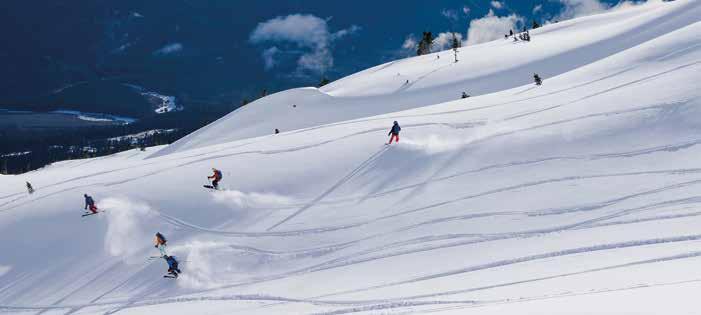 FREERIDE Řada Ripstick byla vyvinuta pro nejnáročnější terény a všechny sněhové podmínky,