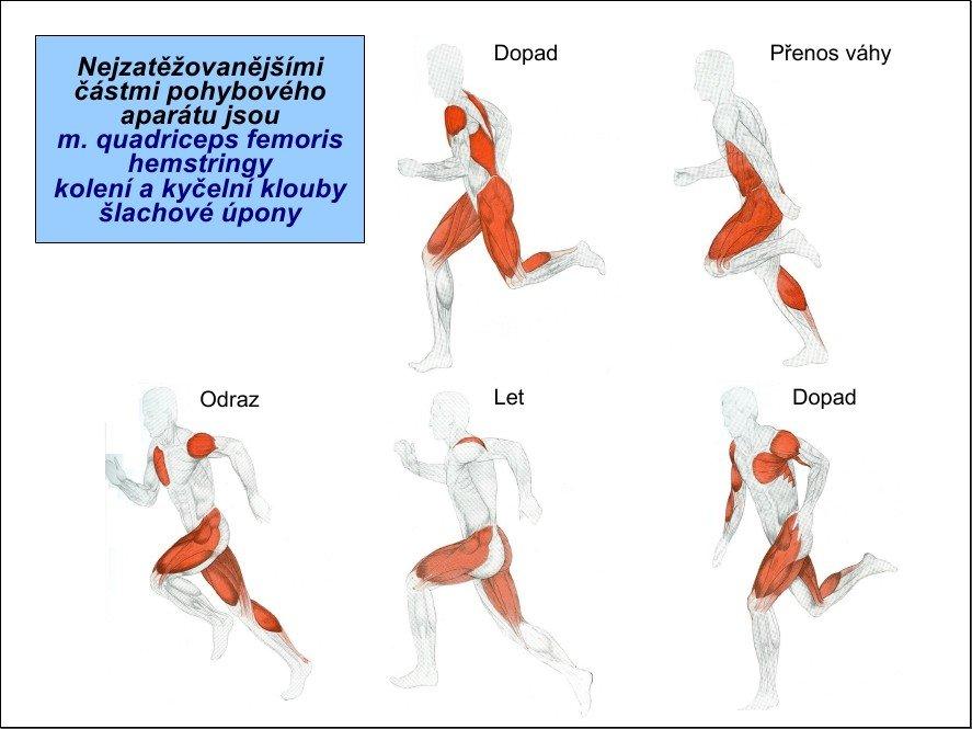 1. Charakteristika maratónského běhu 1.1 Obecná charakteristika Maratónský běh je olympijská atletická disciplína, vytrvalostní silníční běh na 42,195 km.