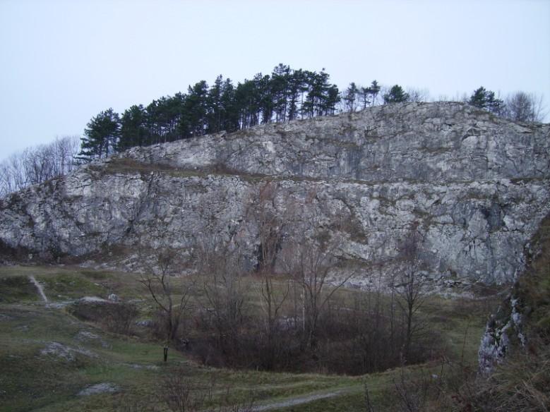 Výzkum byl prováděn na území přírodní památky Kamenárka, která se nachází na východní straně Štramberku.