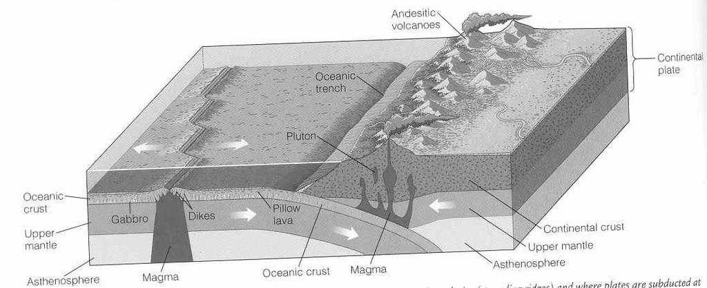 oceánská - pevninská vždy oceánská pod pevninskou