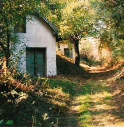 výsledky weinviertel Přírodní prostor a životní prostředí Weinviertel nabízí dostatek útočišt pro zvířata i rostliny, rekreačního a ozdravovacího prostoru pro městké oblasti a velkoplošné pohledy do