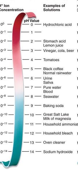 35 ph vody (potential of hydrogen) - vyjadřuje koncentraci H 3 O + iontů ph = -log [H 3 O + ] Kyselé roztoky - převládají H 3 O + ionty, proto [H 3 O + ] > 10-7 mol.
