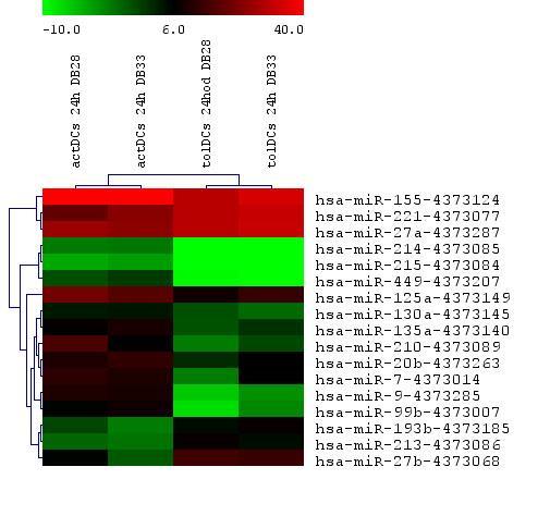 Fold change log 2 scale mir-155 mir-27a mir-221 mir-125a mir-210 mir-7 mir-9 mir-135a mir-99b mir-130a mir-27b mir-449 mir-193b mir-213