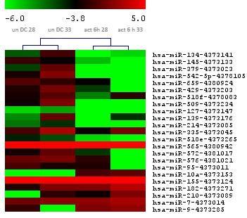 Fold change log 2 scale mir-155 mir-565 mir-335 mir-7 mir-576 mir-542-5p mir-509 mir-182 mir-429 mir-572 mir-139 mir-379 mir-659 mir-518f mir-95 mir-134 mir-145 mir-9 mir-210